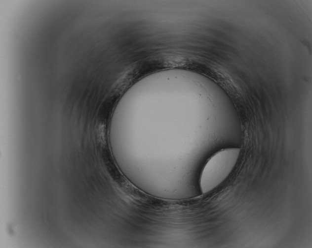 X0000093470598200710121012