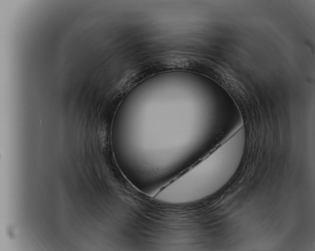 X0000093470600200710121012