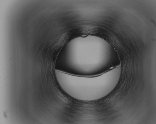 X0000093470601200710121012