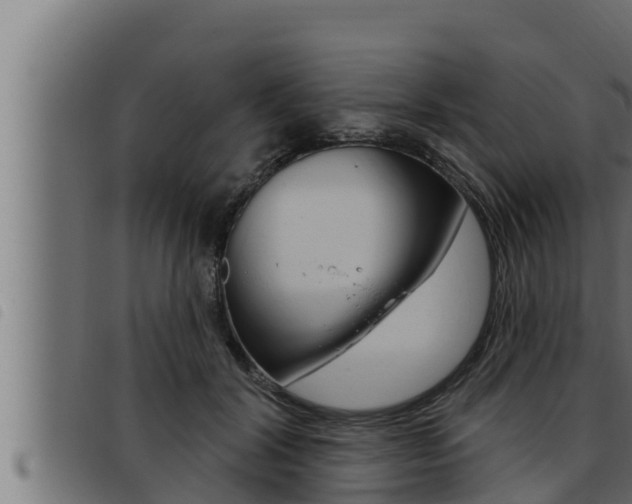 X0000093470604200710121012