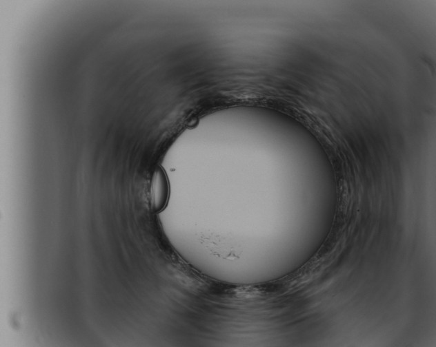 X0000093470612200710121012