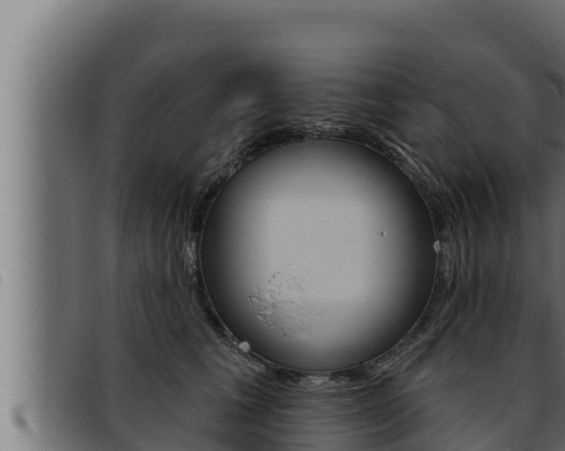 X0000093470613200710121012