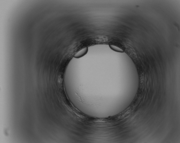 X0000093470614200710121012