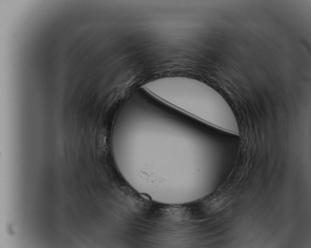 X0000093470615200710121012