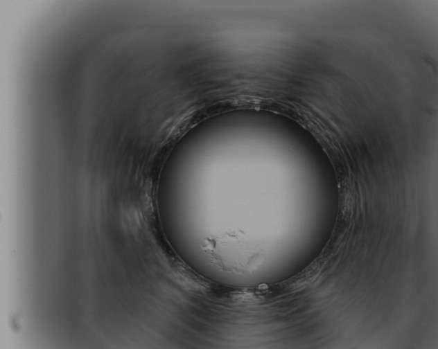 X0000093470616200710121012
