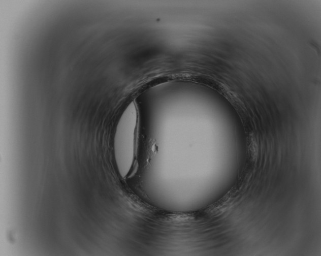 X0000093470619200710121012