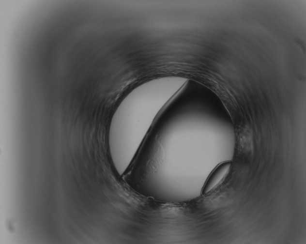 X0000093470620200710121012