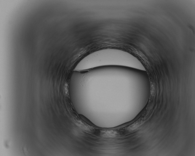X0000093470621200710121012