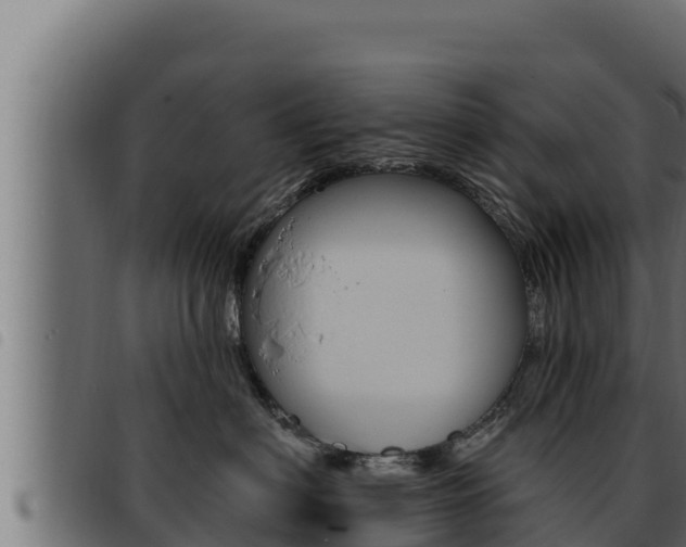X0000093470622200710121012