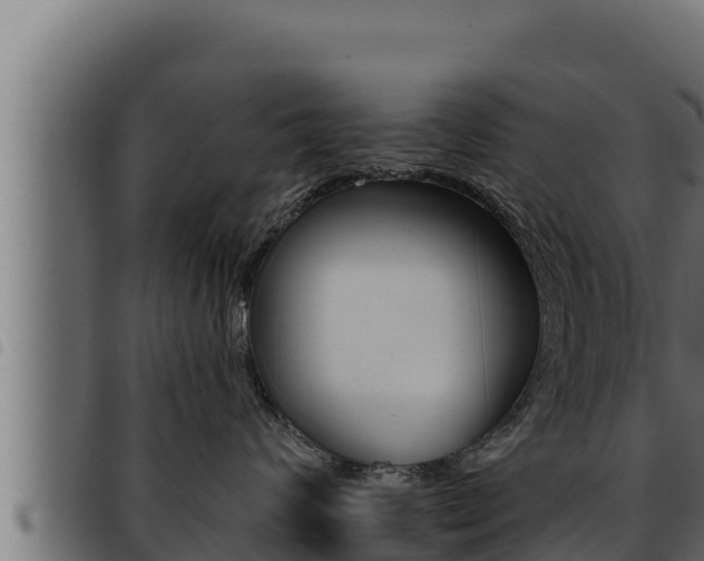 X0000093470624200710121012