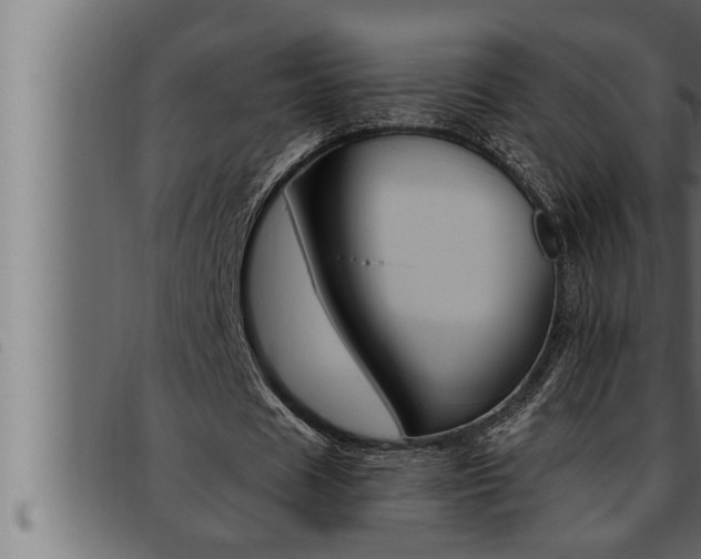 X0000093470625200710121011