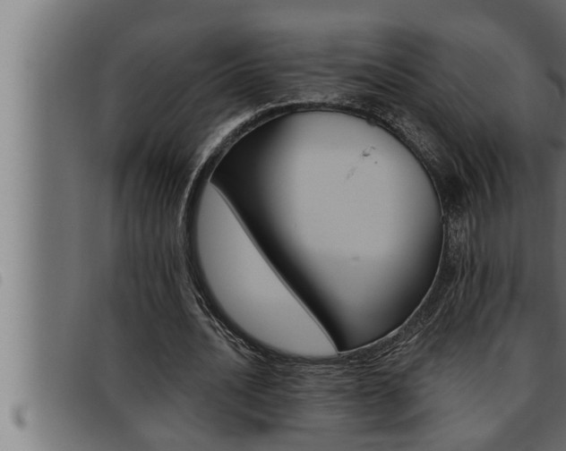 X0000093470628200710121011