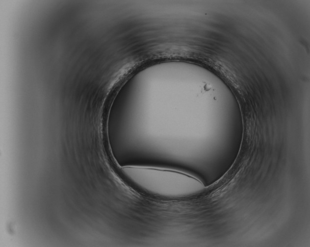 X0000093470629200710121011