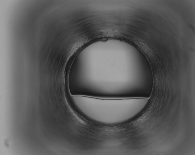 X0000093470630200710121011