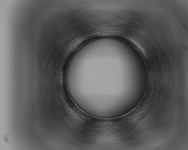 X0000093470631200710121011