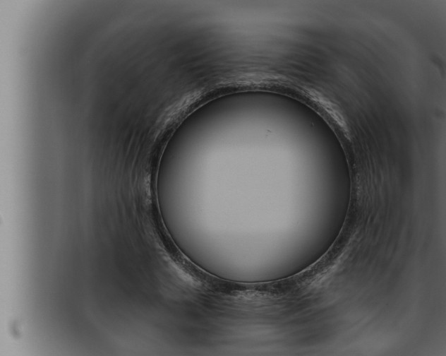X0000093470633200710121011