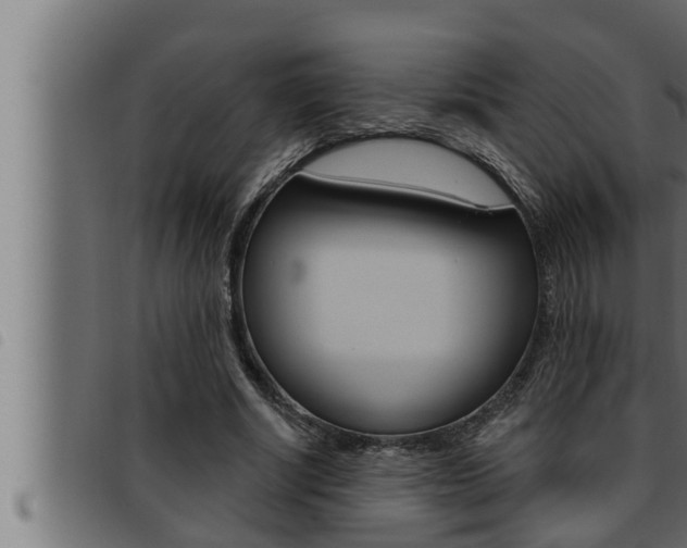 X0000093470634200710121011