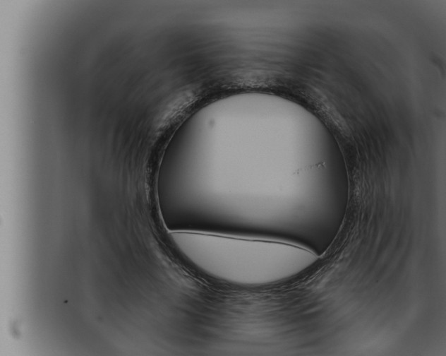 X0000093470635200710121011