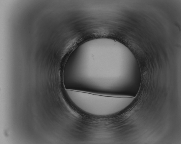 X0000093470638200710121011