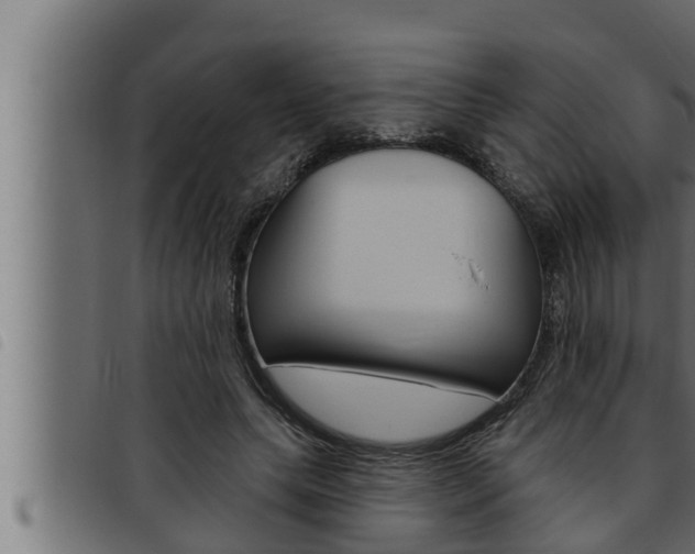 X0000093470639200710121011