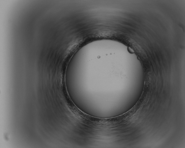 X0000093470640200710121011