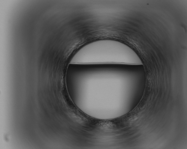 X0000093470642200710121011