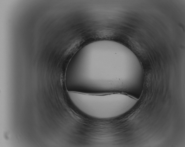 X0000093470644200710121011