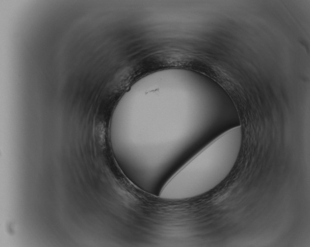 X0000093470646200710121012
