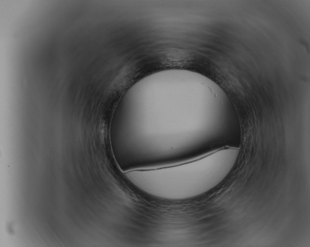 X0000093470647200710121012