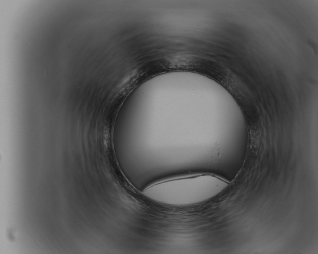 X0000093470648200710121012