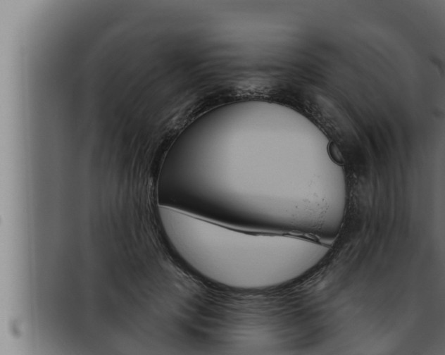 X0000093470649200710121012