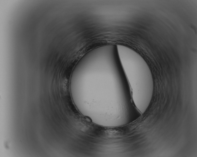 X0000093470650200710121012