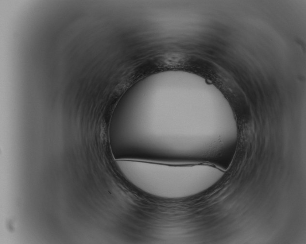 X0000093470651200710121012