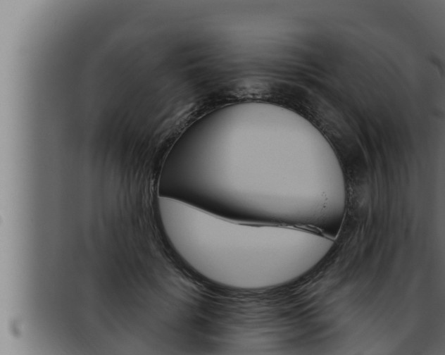 X0000093470652200710121012