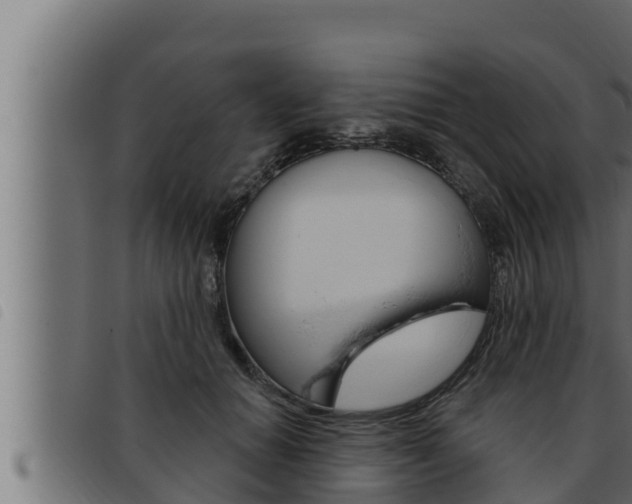 X0000093470654200710121012