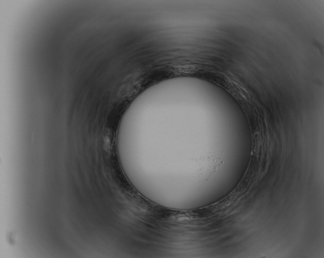 X0000093470655200710121012