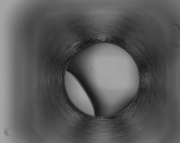 X0000093470656200710121012