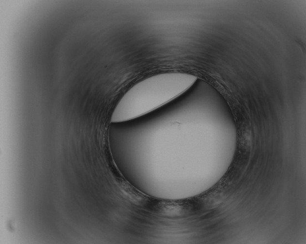 X0000093470658200710121012