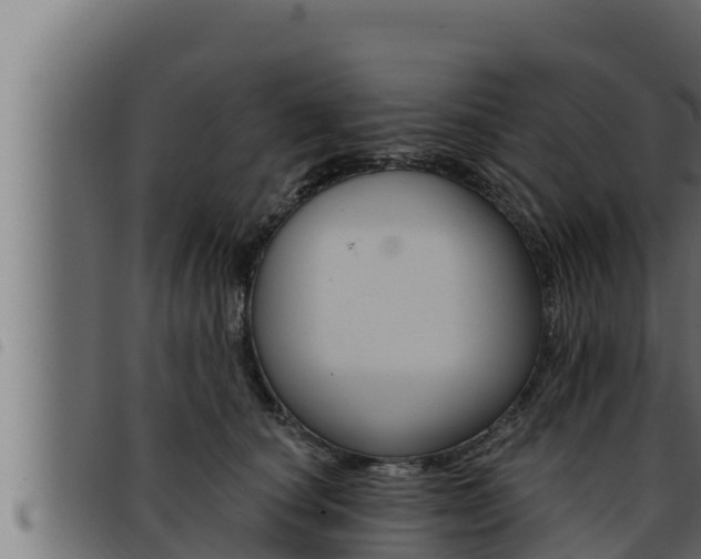 X0000093470660200710121012