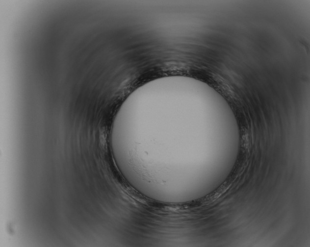 X0000093470662200710121012