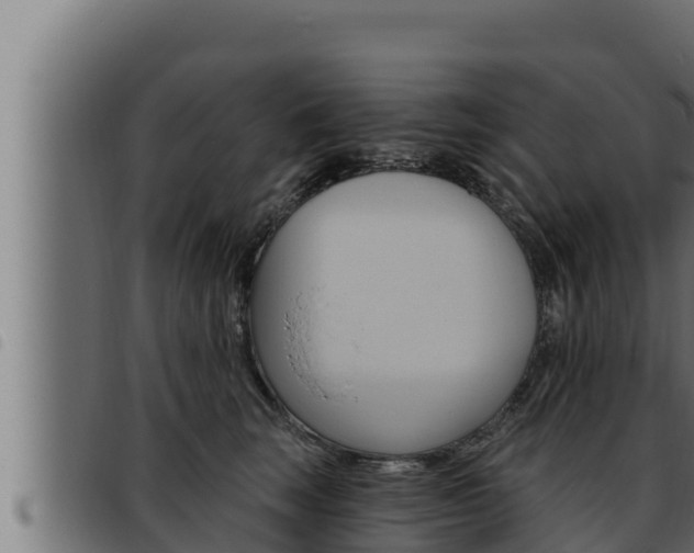 X0000093470663200710121012