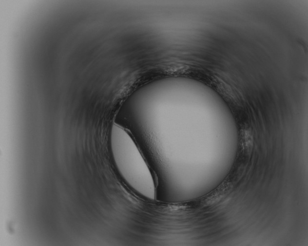X0000093470664200710121012