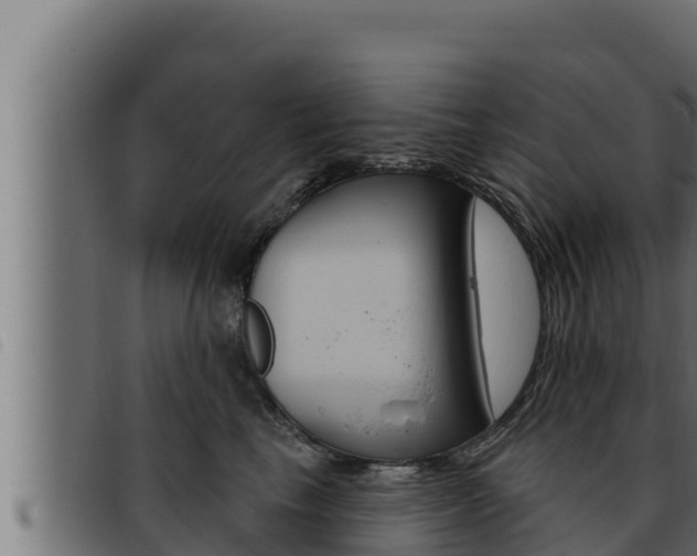 X0000093470665200710121012