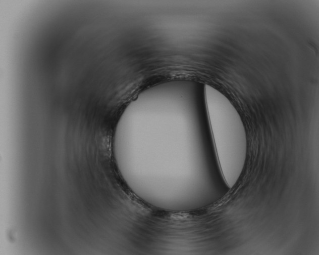 X0000093470666200710121012
