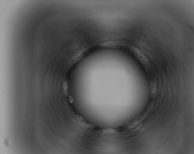 X0000093470669200710121012
