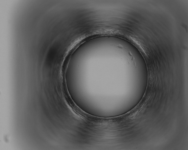 X0000093470674200710121011