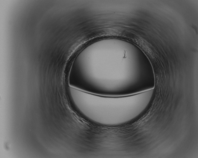 X0000093470676200710121011