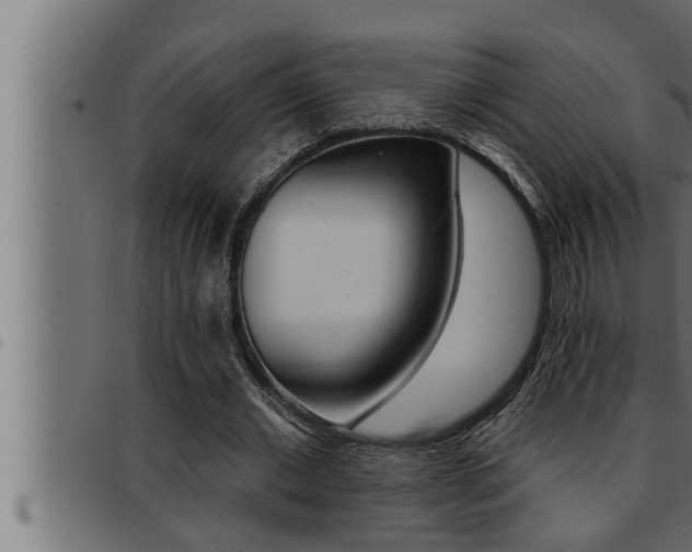 X0000093470677200710121011
