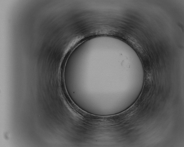 X0000093470678200710121011
