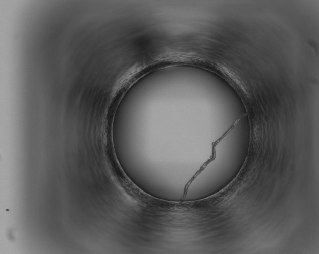 X0000093470682200710121011